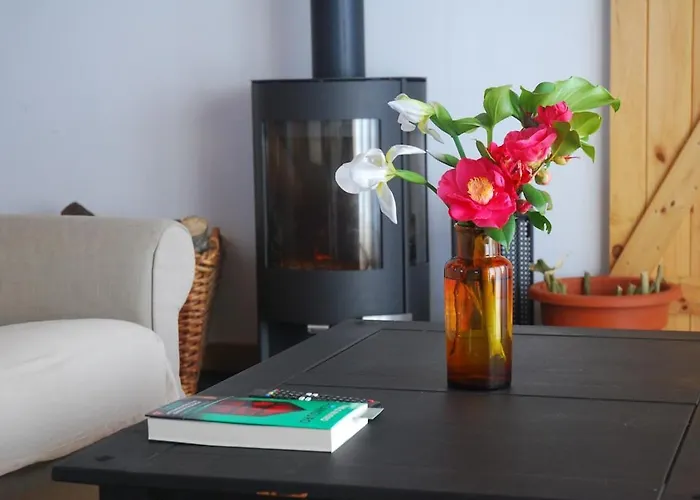 Hébergement de vacances La Reineta La Orotava